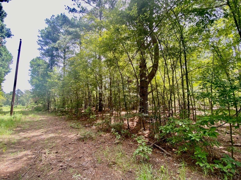 0.82 acres in Texas County gallery image 3