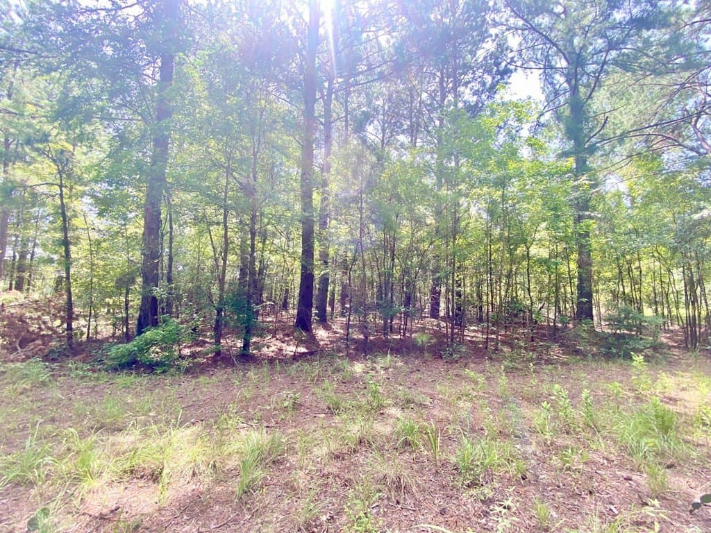 0.82 acres in Texas County gallery image 2