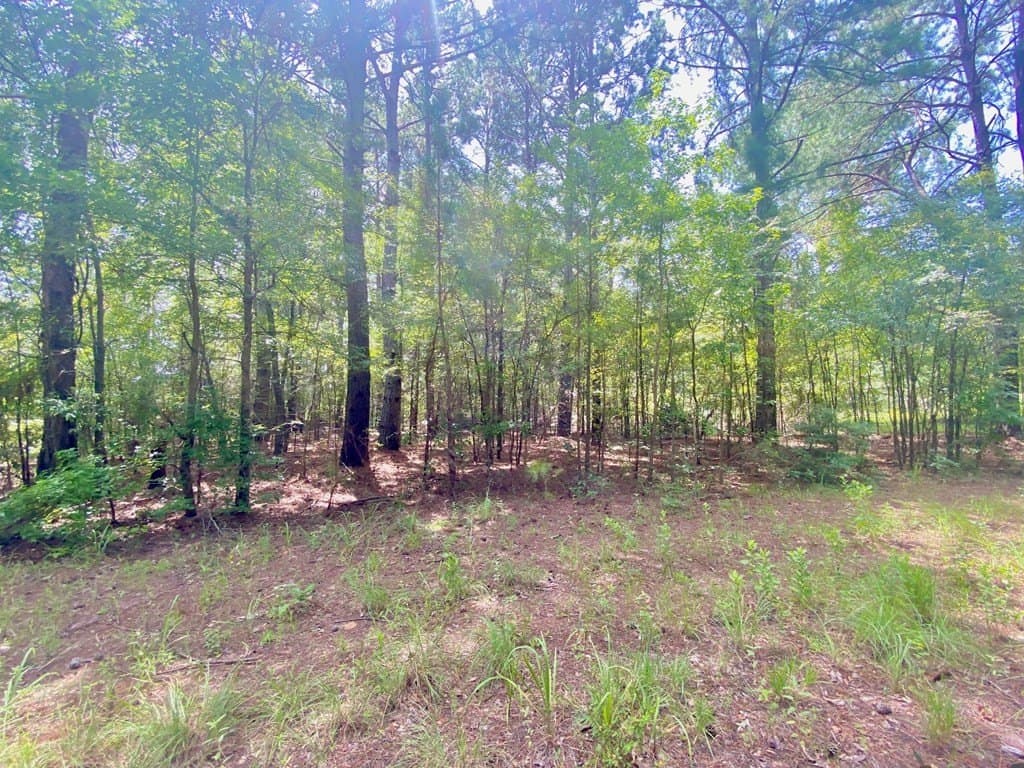 0.82 acres in Texas County gallery image 4