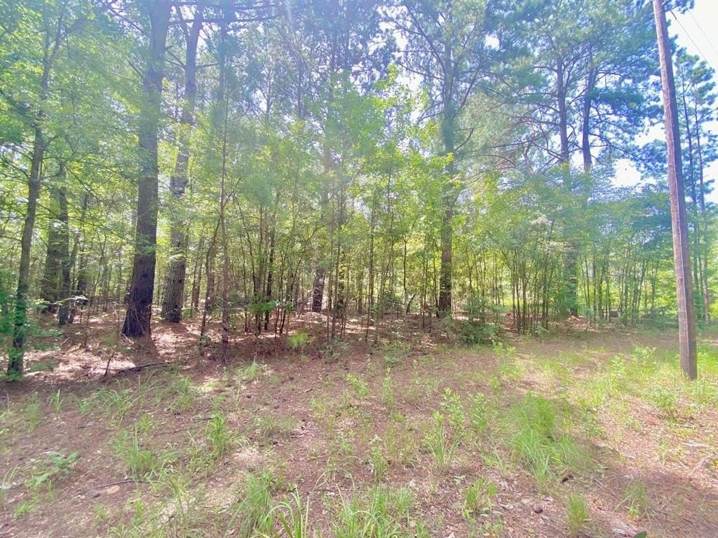 0.82 acres in Texas County