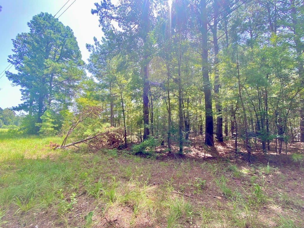 0.82 acres in Texas County featured view