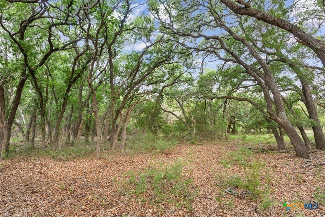 5.01 acres in Lampasas County - photo 9