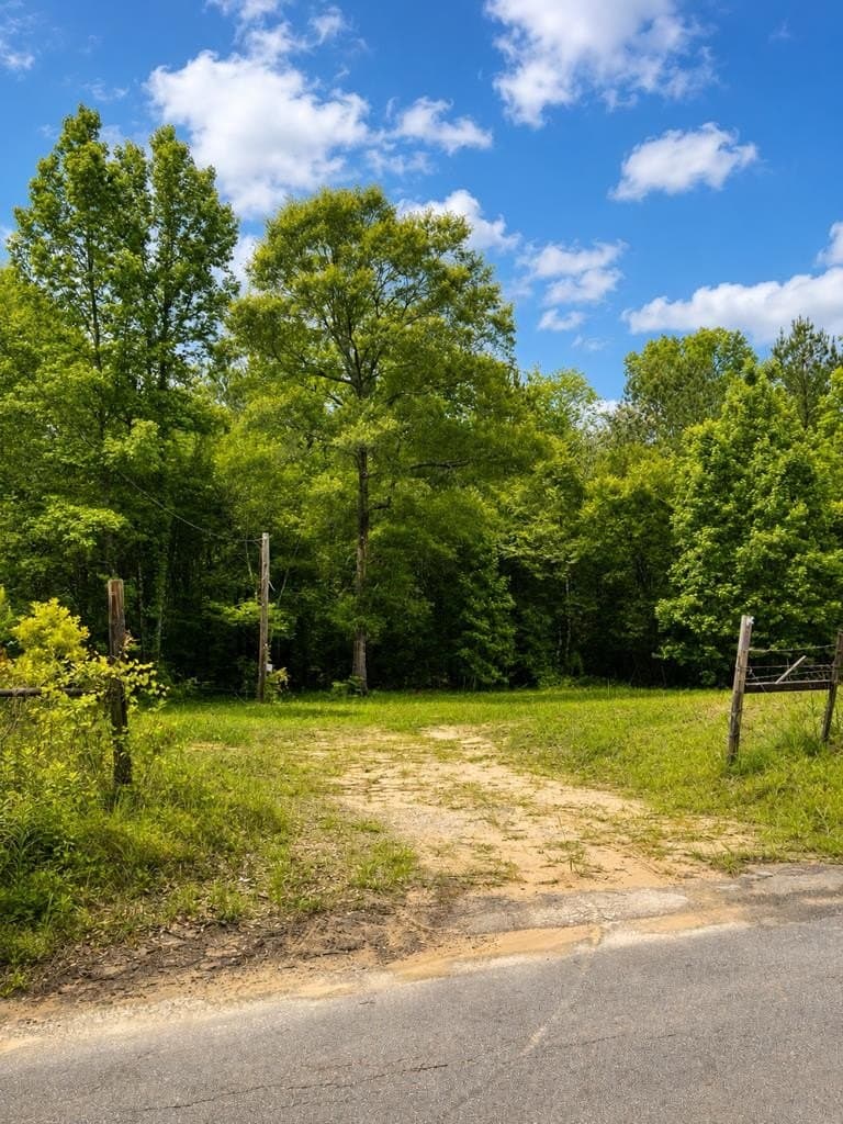 4.5 acres in Texas County