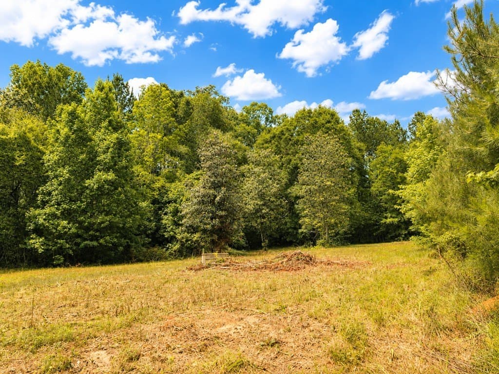 4.5 acres in Texas County gallery image 4