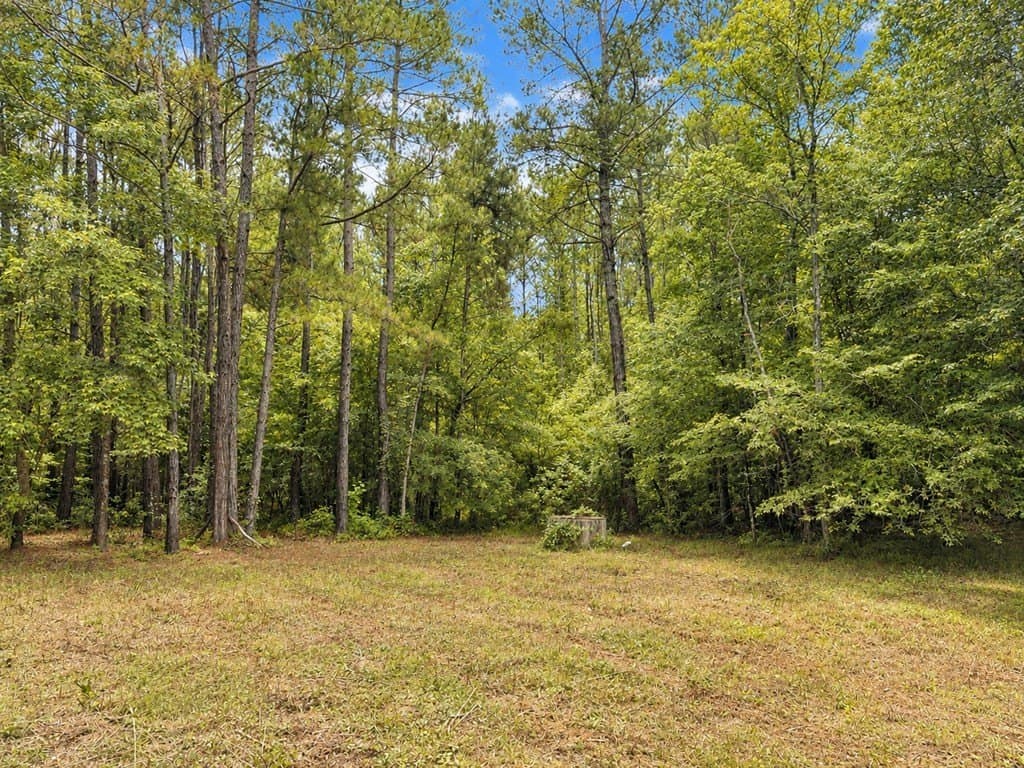 4.5 acres in Texas County featured view