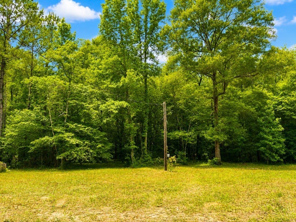 4.5 acres in Texas County gallery image 2