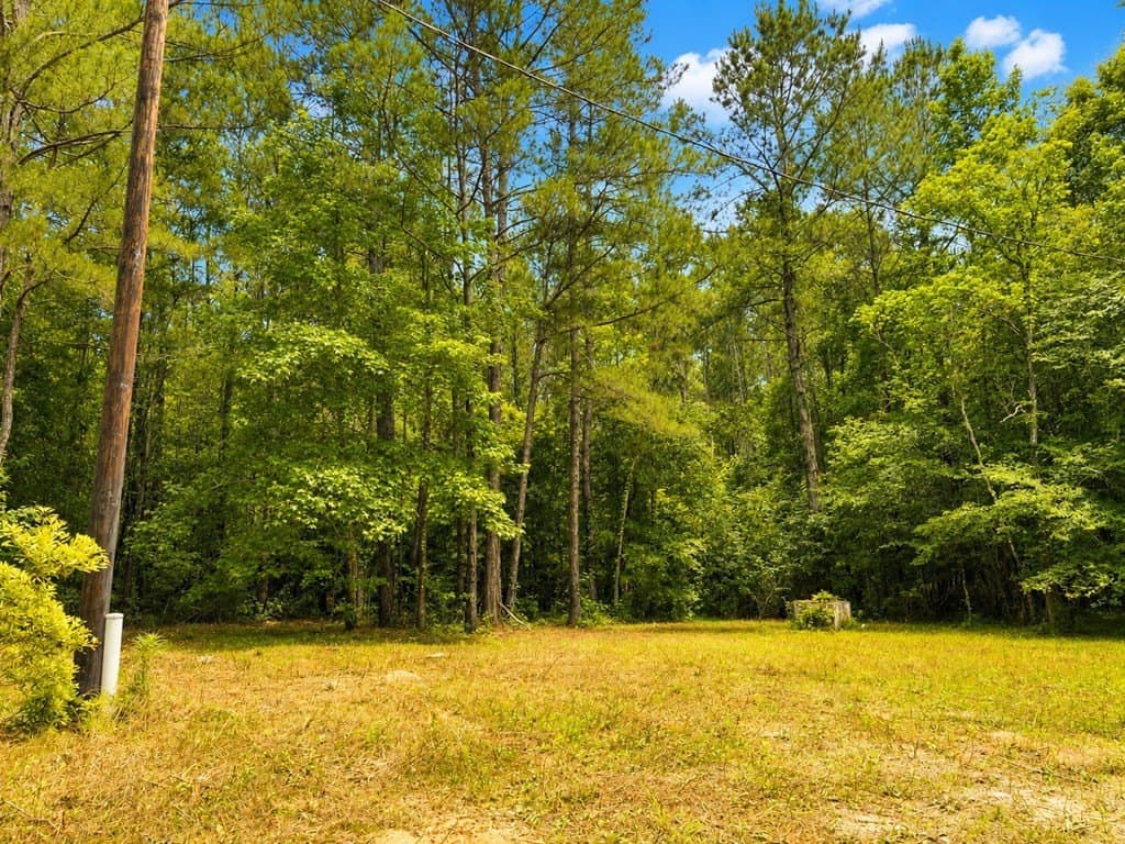 4.5 acres in Texas County gallery image 3