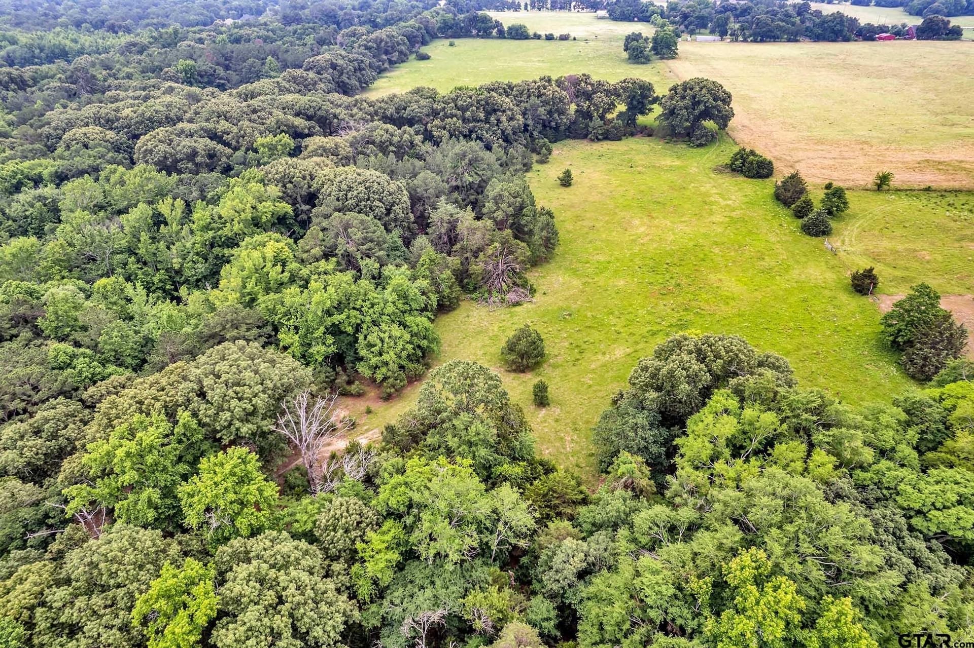 44 acres in Smith County gallery image 4