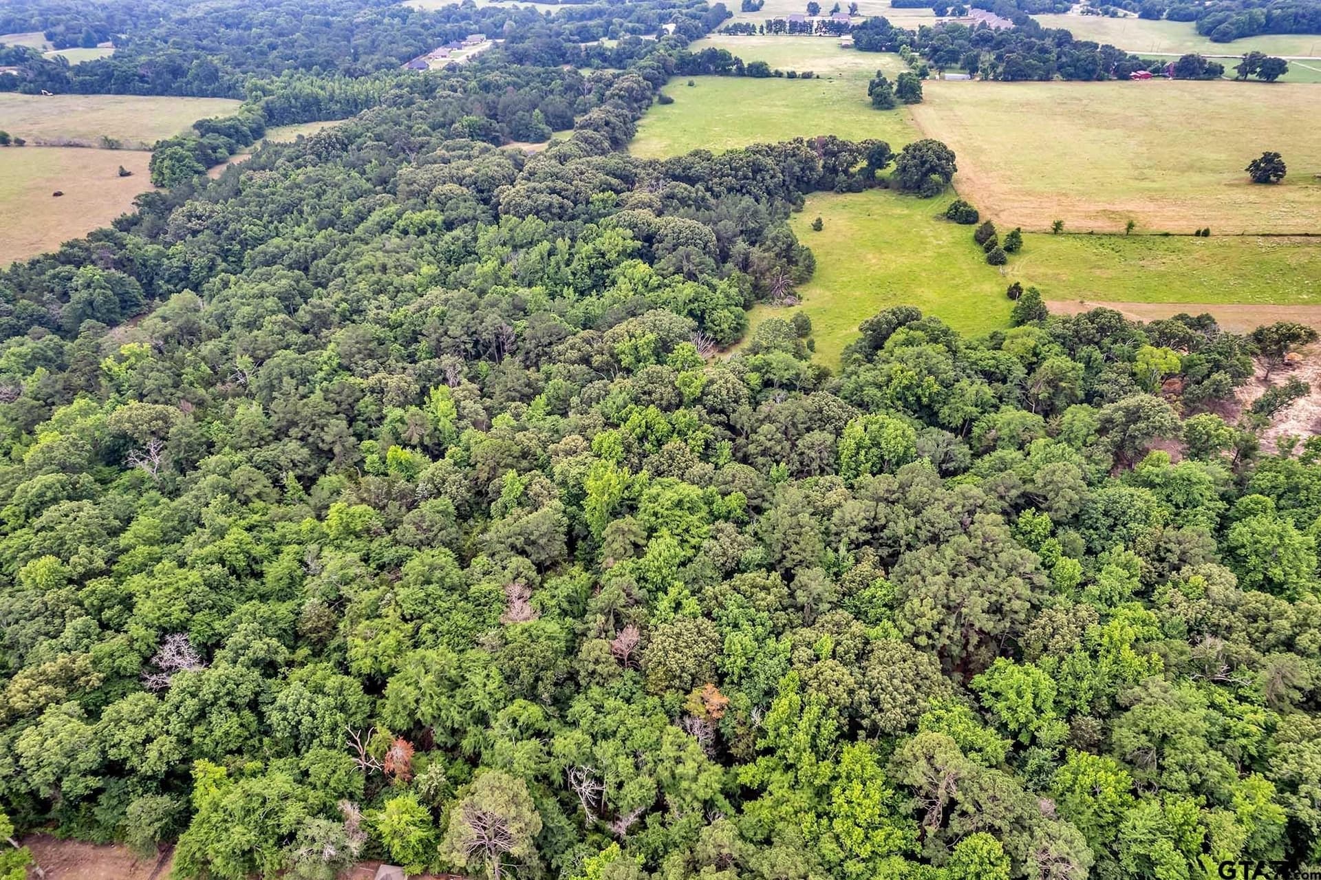 44 acres in Smith County gallery image 3