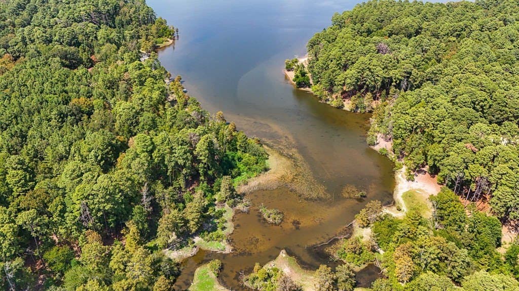 17 acres in Texas County gallery image 2