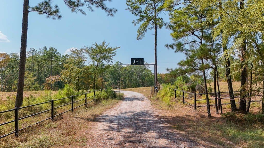 17 acres in Texas County featured view