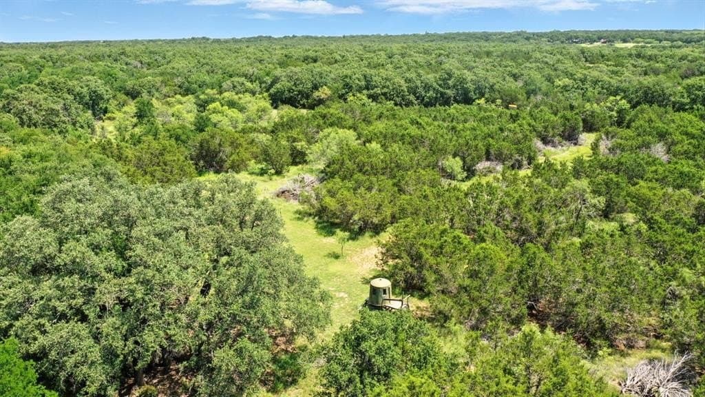 24.35 acres in Eastland County gallery image 2