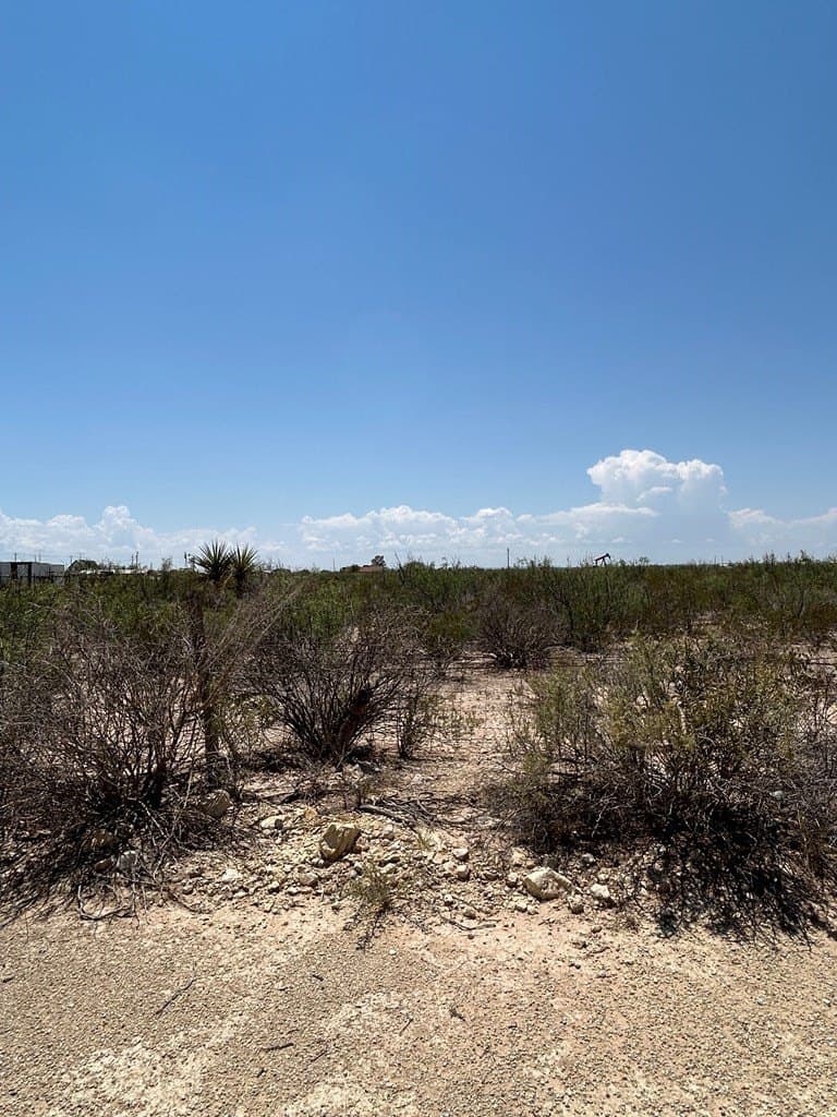 7.31 acres in Pecos County gallery image 4