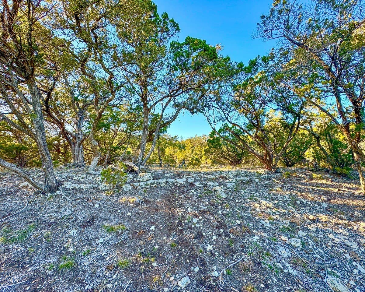 23.26 acres in Hays County - photo 9
