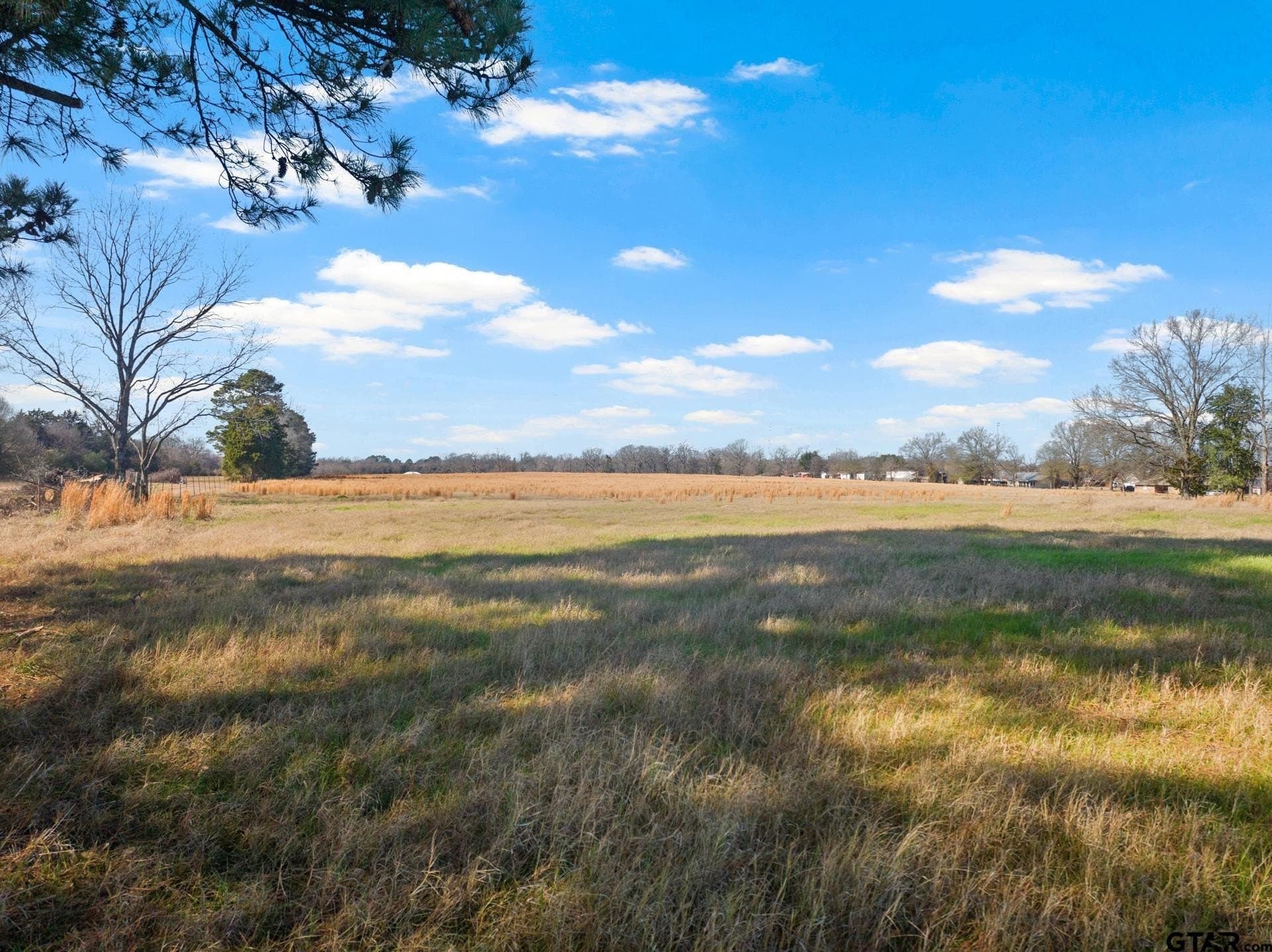 33.84 acres in Titus County - photo 23
