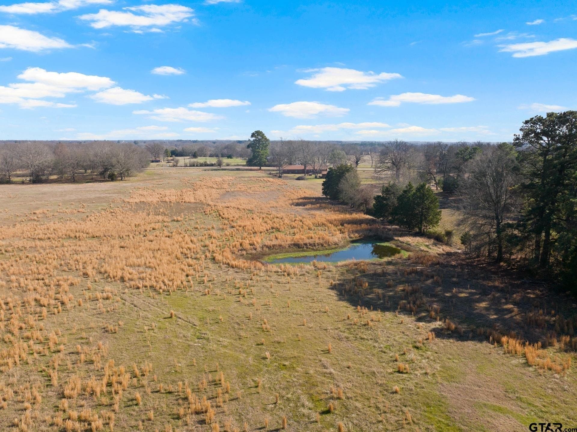 33.84 acres in Titus County - photo 18