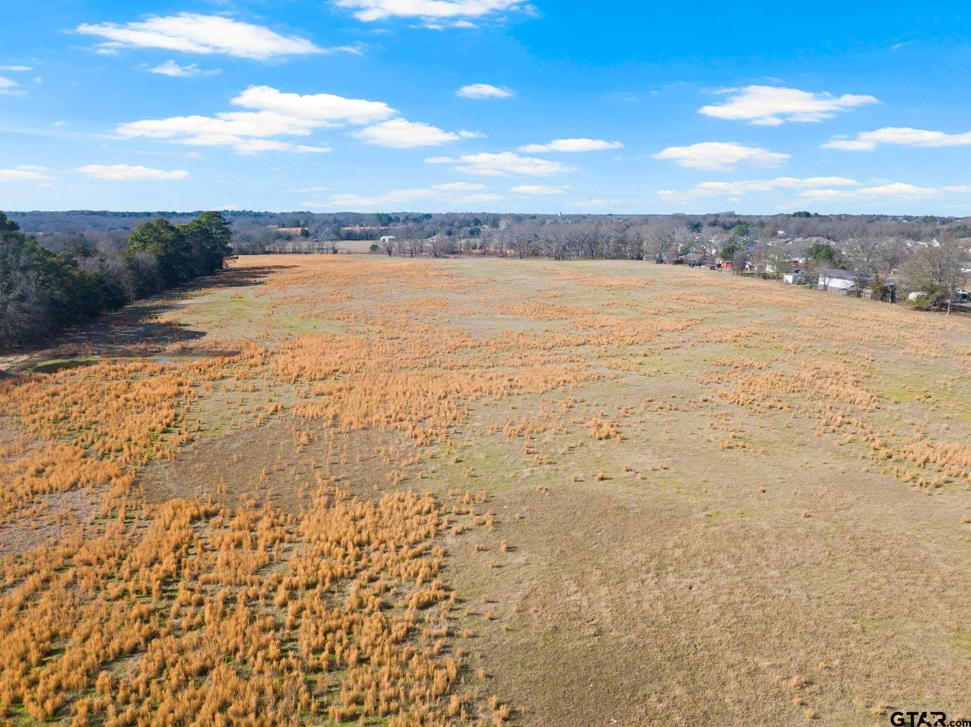 33.84 acres in Titus County - photo 21