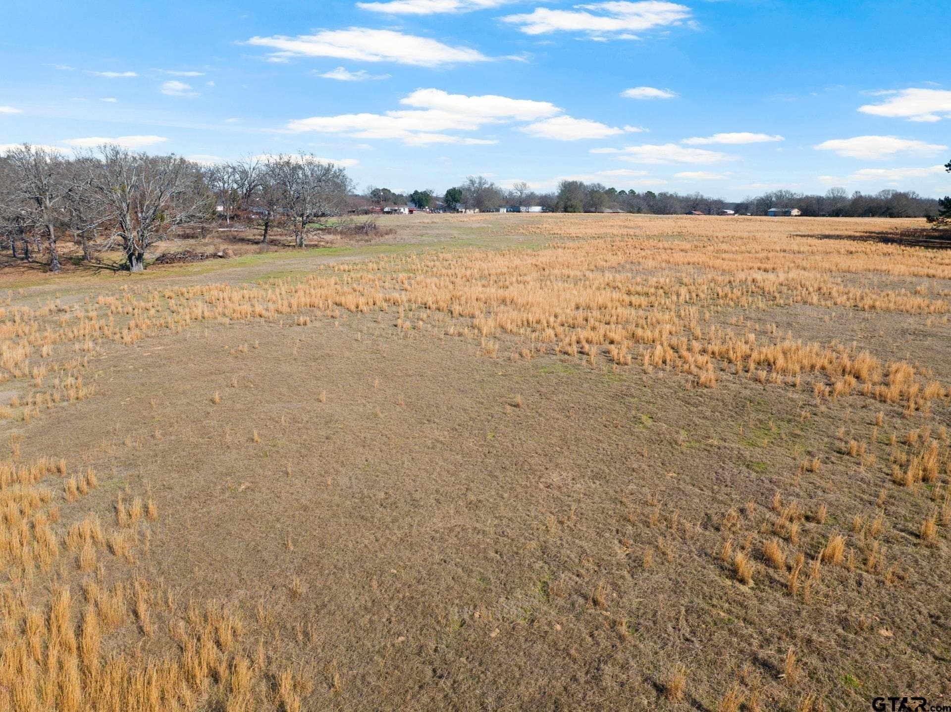 33.84 acres in Titus County - photo 17