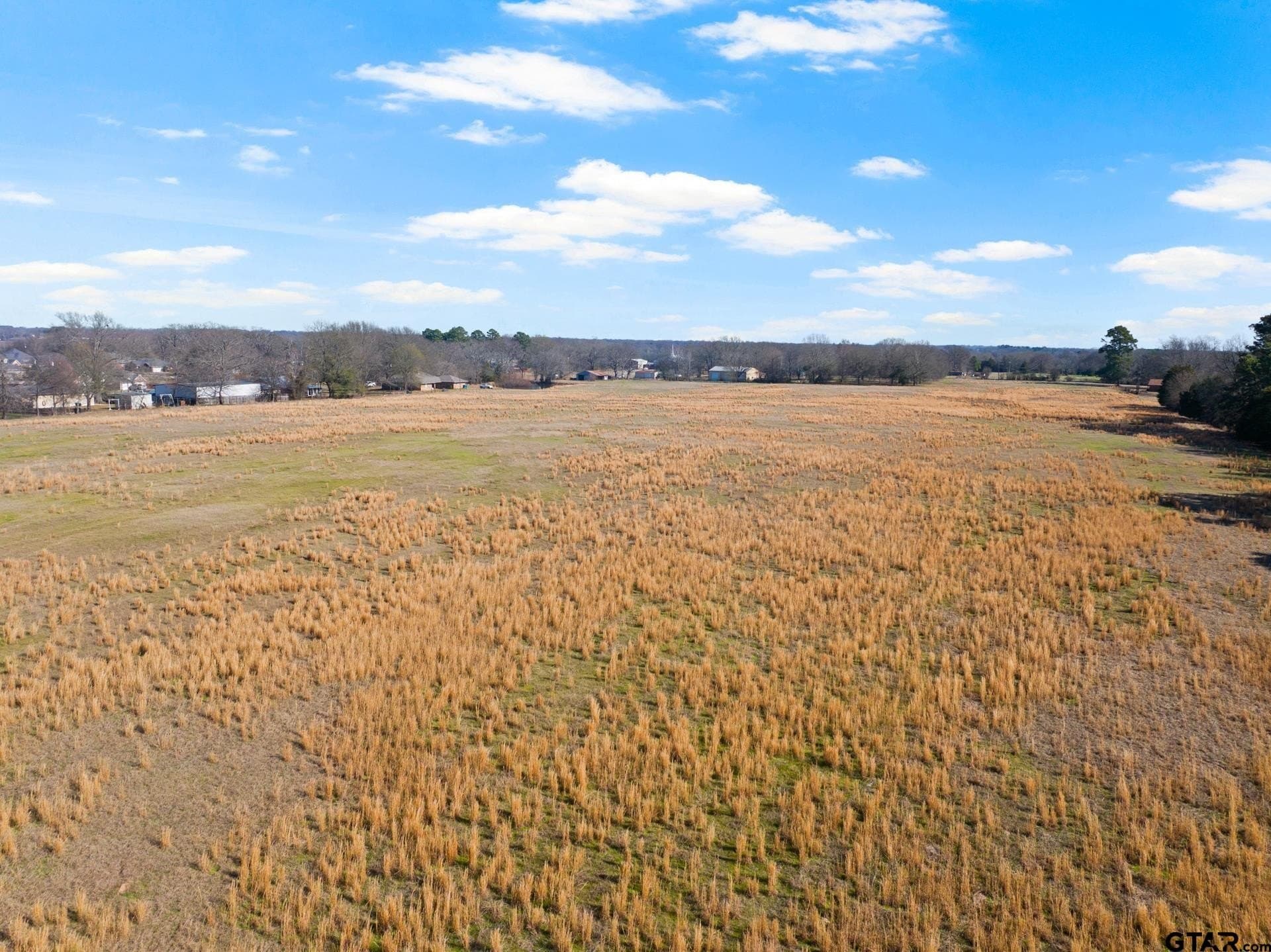 33.84 acres in Titus County - photo 16