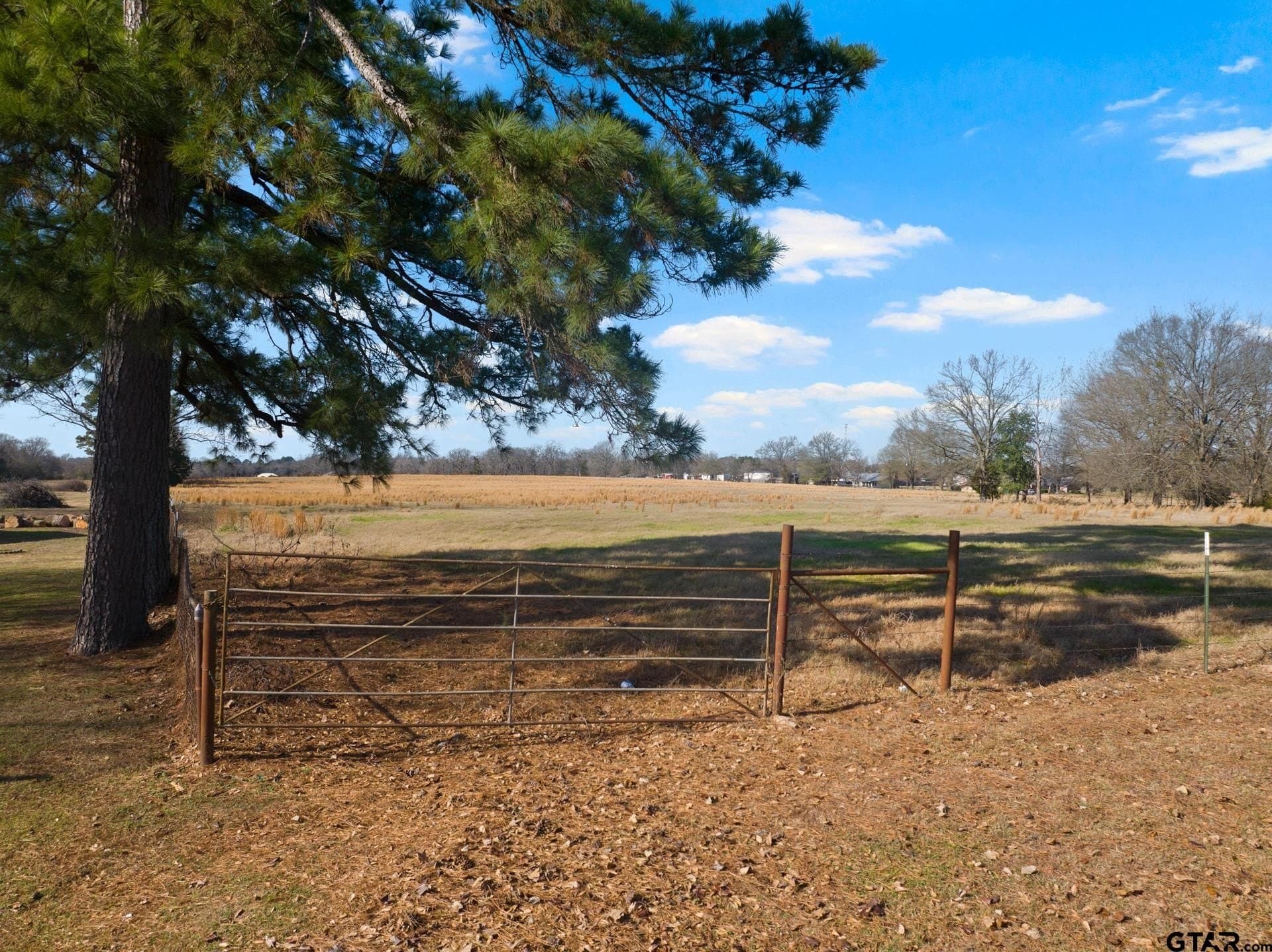 33.84 acres in Titus County - photo 25