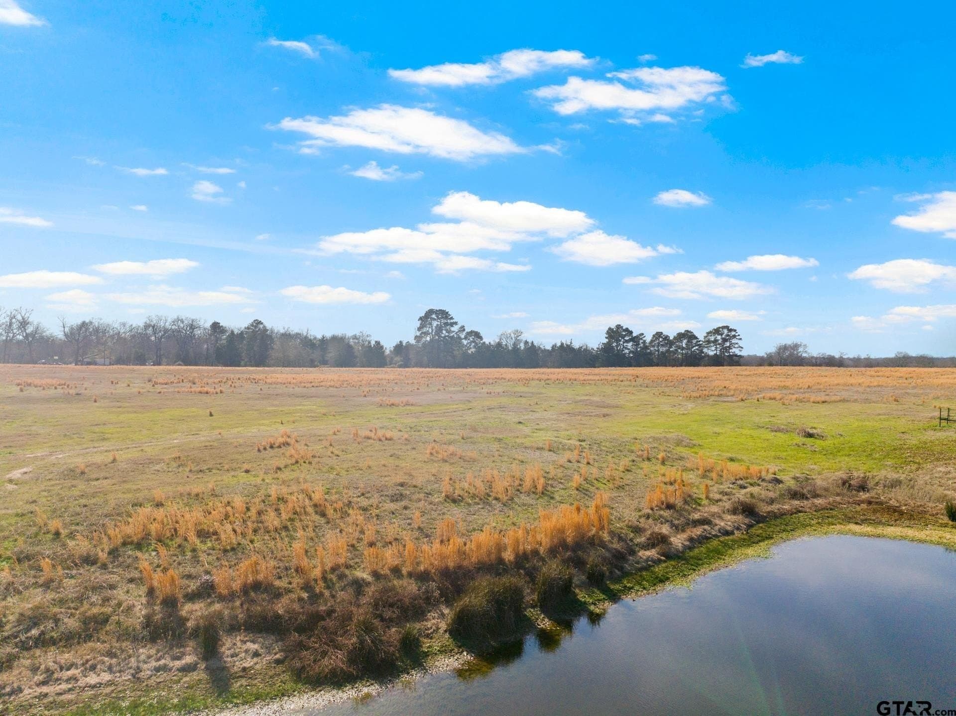 33.84 acres in Titus County - photo 14