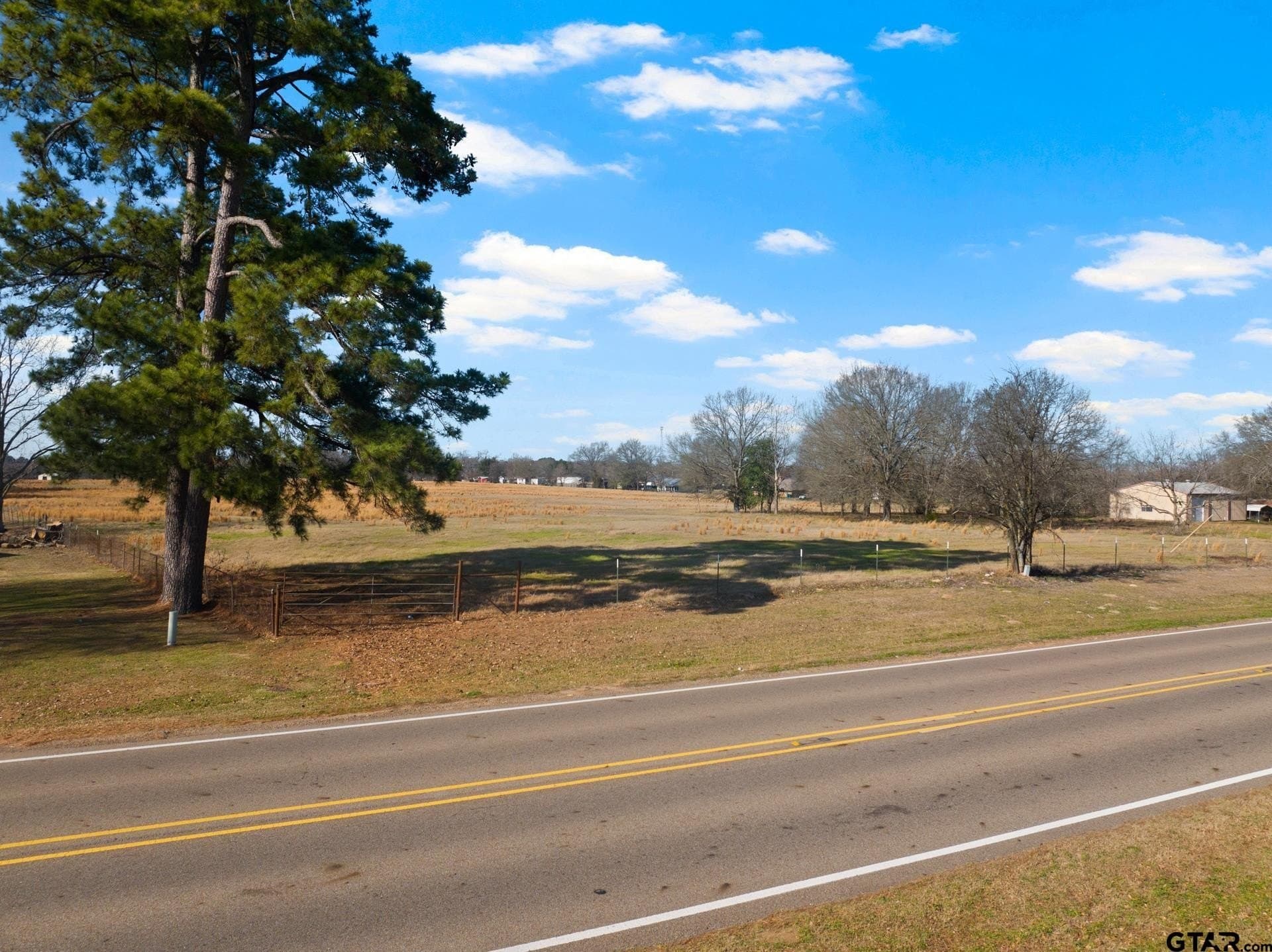 33.84 acres in Titus County - photo 9