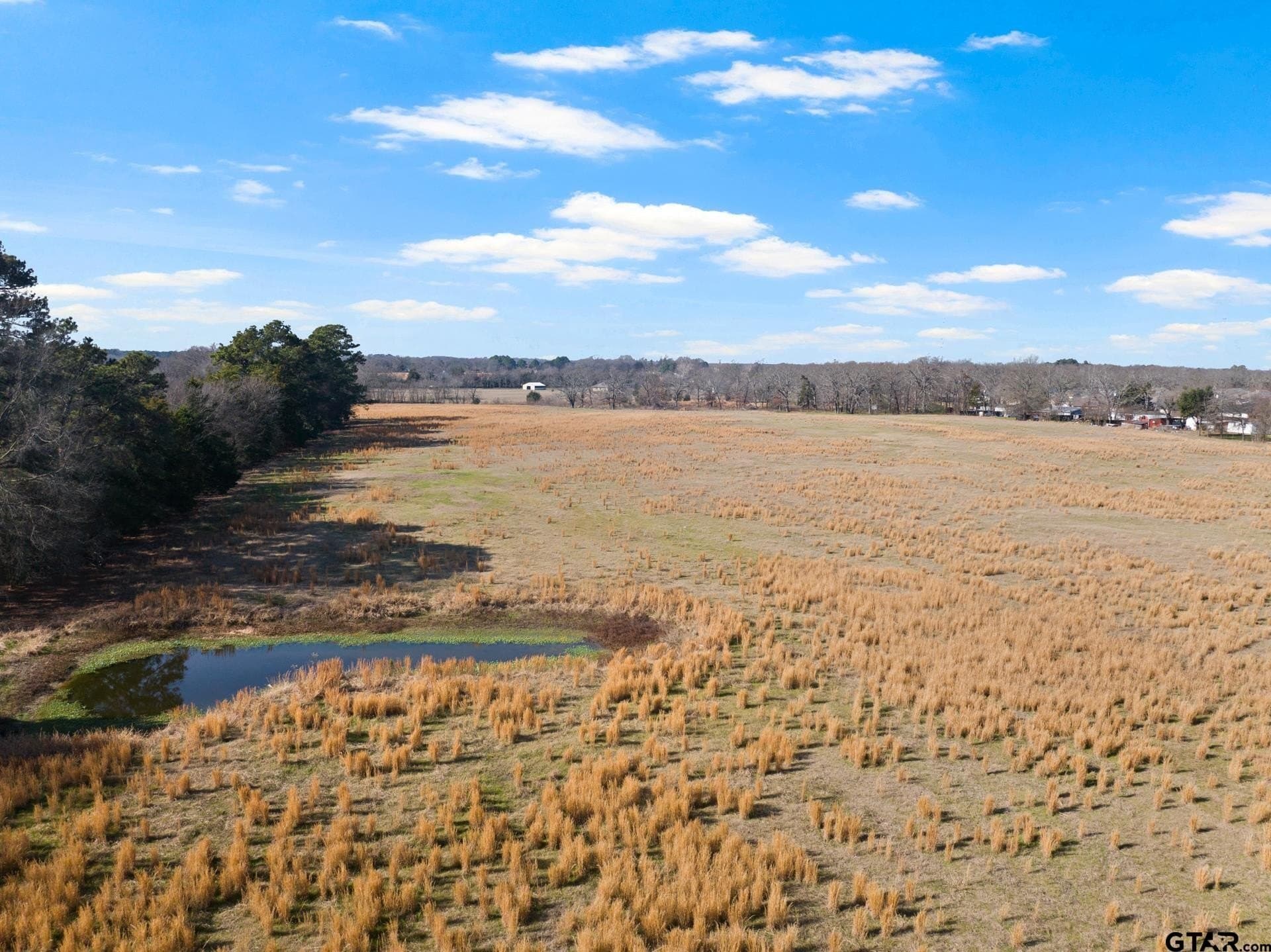 33.84 acres in Titus County - photo 19