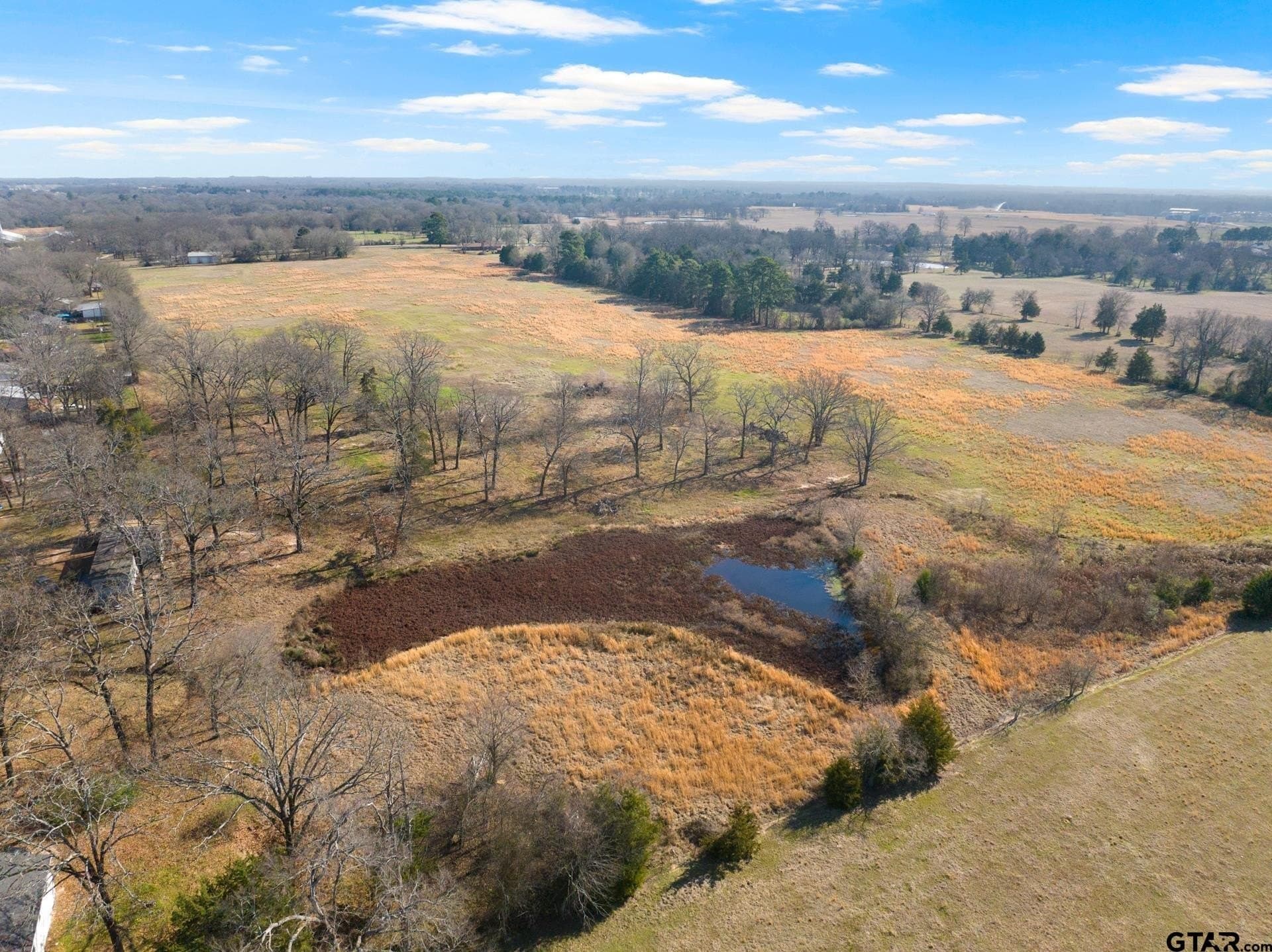 33.84 acres in Titus County - photo 8