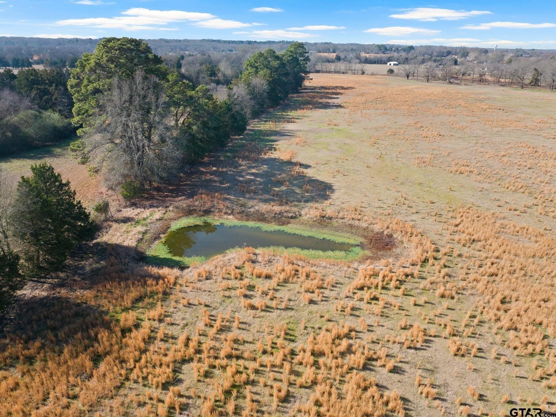 33.84 acres in Titus County - photo 20