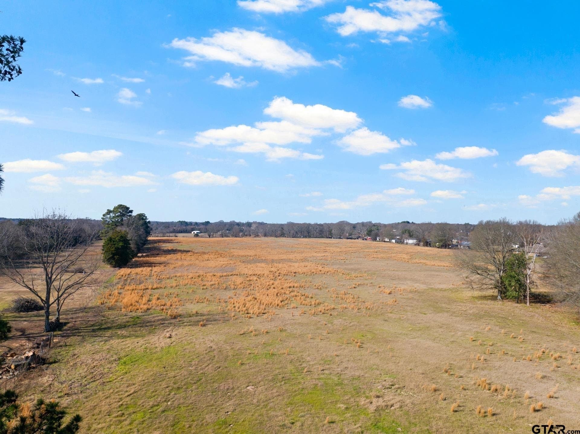 33.84 acres in Titus County - photo 22