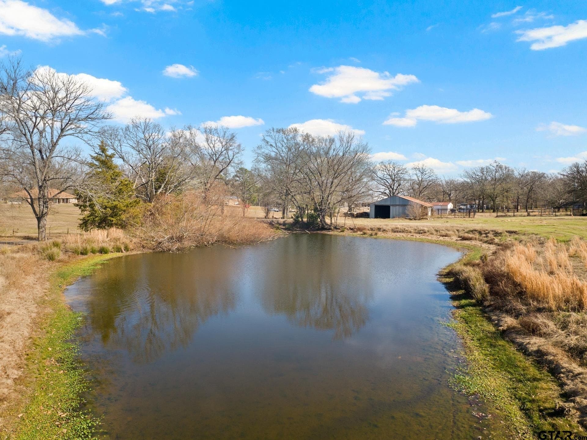 33.84 acres in Titus County - photo 7