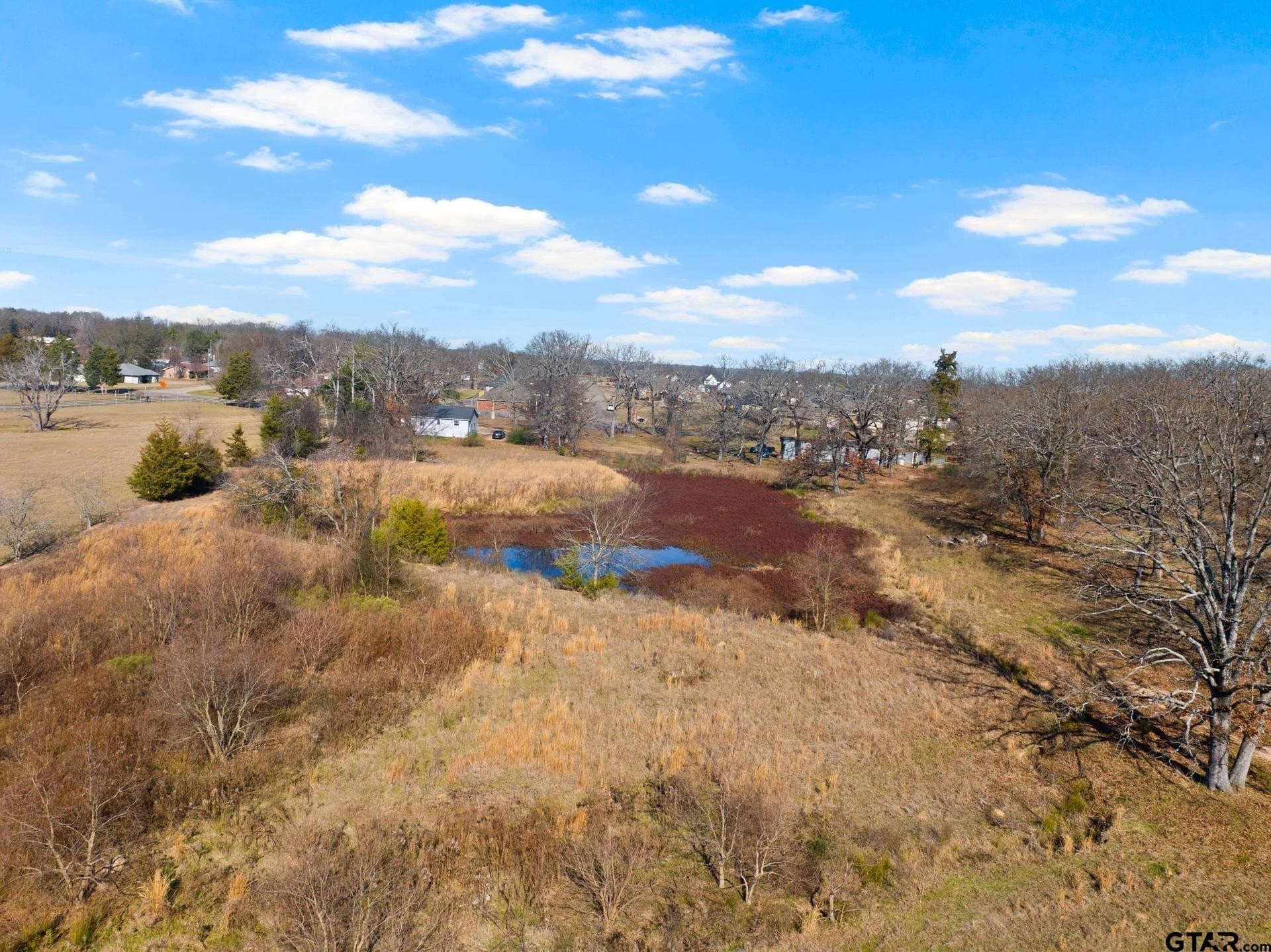 33.84 acres in Titus County - photo 15