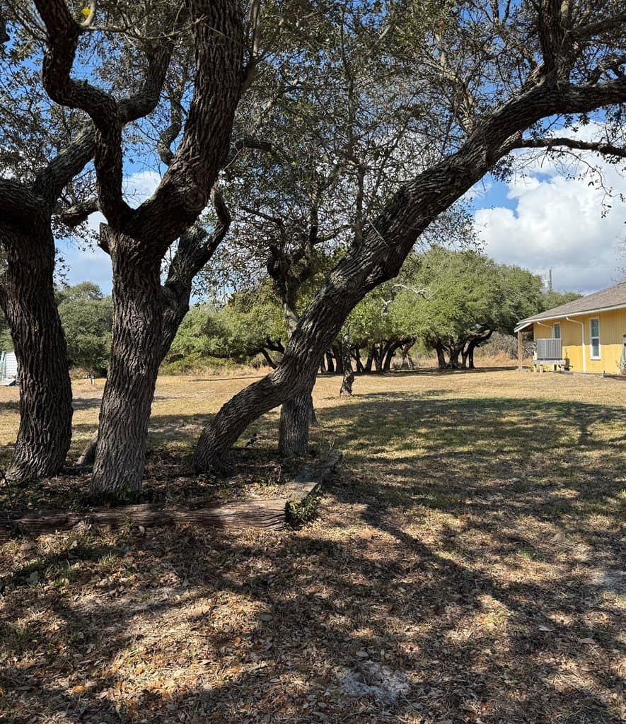 0 acres in Texas County gallery image 2