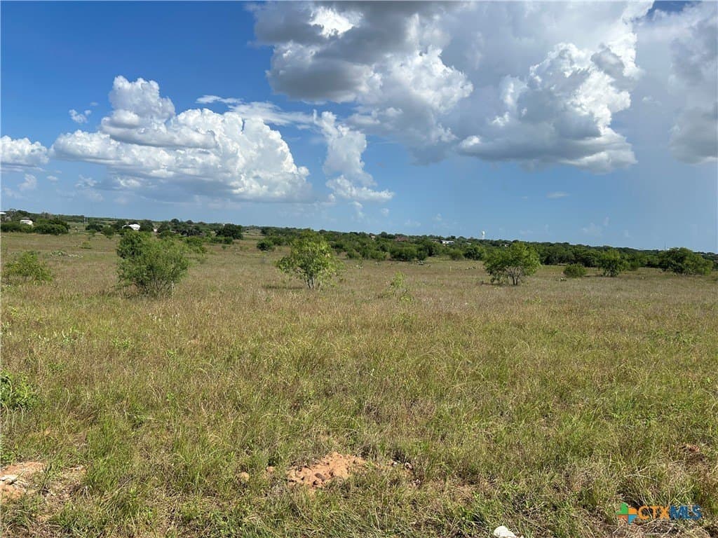 4.56 acres in Wilson County gallery image 3