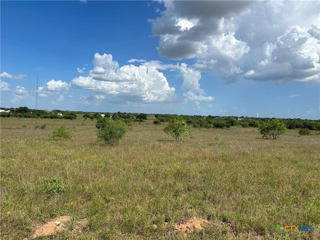 4.56 acres in Wilson County gallery image 4