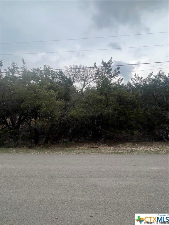 0.28 acres in Comal County - photo 9