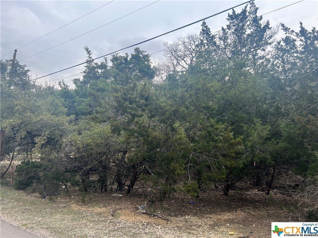 0.28 acres in Comal County featured view