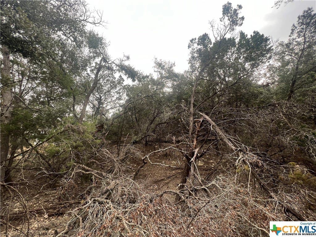 0.28 acres in Comal County - photo 7