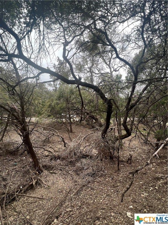 0.28 acres in Comal County - photo 8