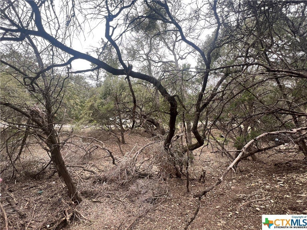 0.28 acres in Comal County gallery image 3
