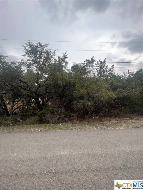 0.28 acres in Comal County gallery image 2