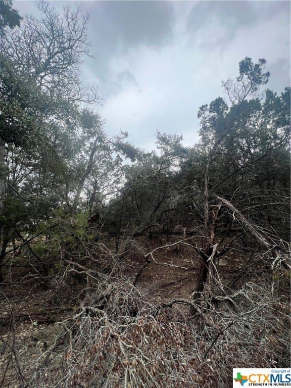 0.28 acres in Comal County - photo 6