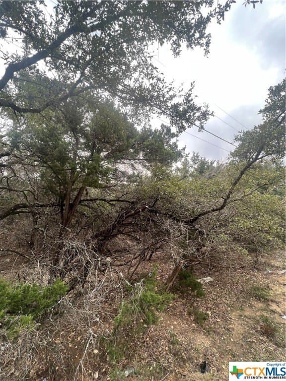 0.28 acres in Comal County gallery image 4