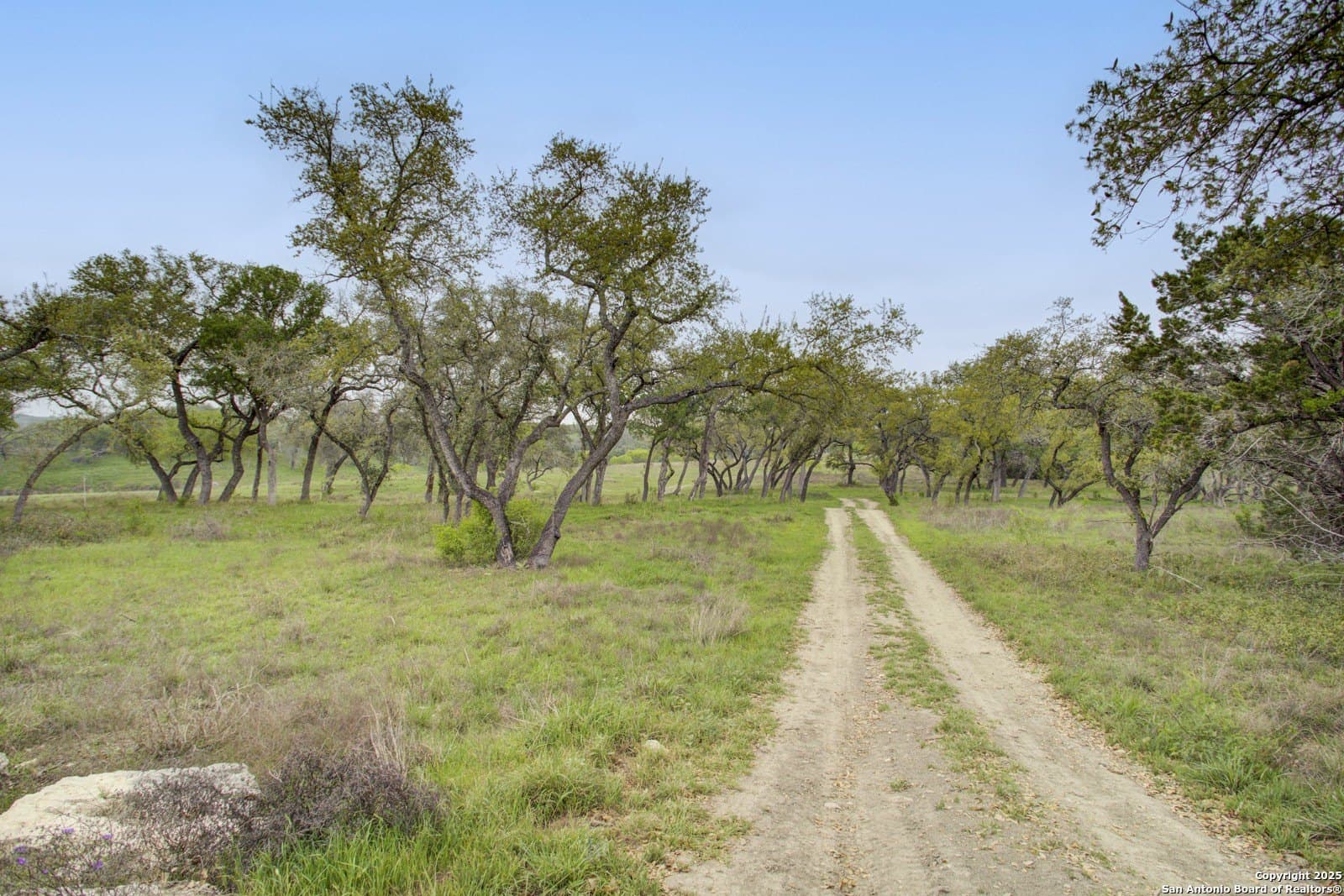 1.24 acres in Comal County - photo 22