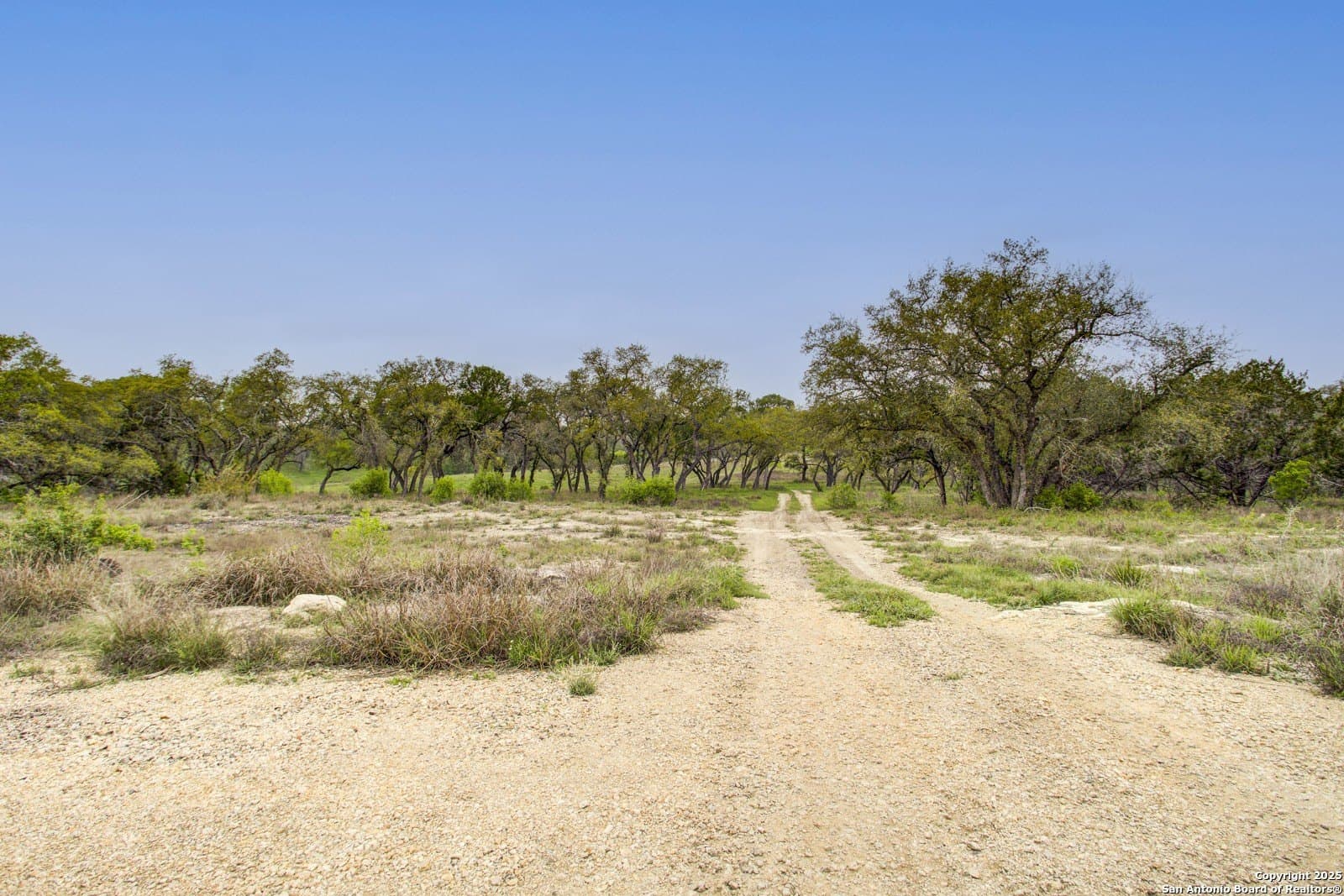 1.24 acres in Comal County - photo 21