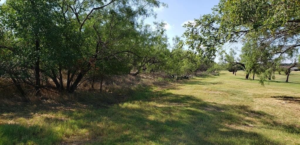 6.7 acres in Nolan County - photo 10