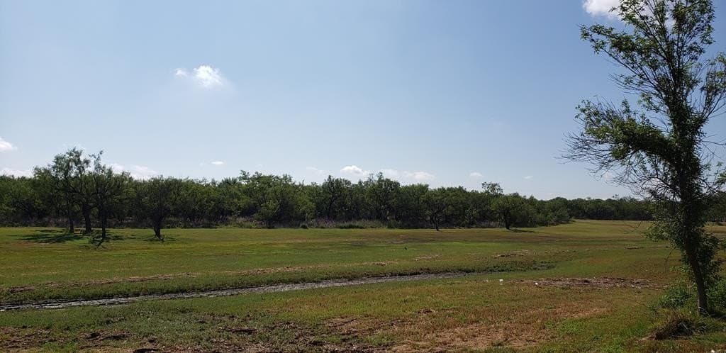 6.7 acres in Nolan County - photo 8