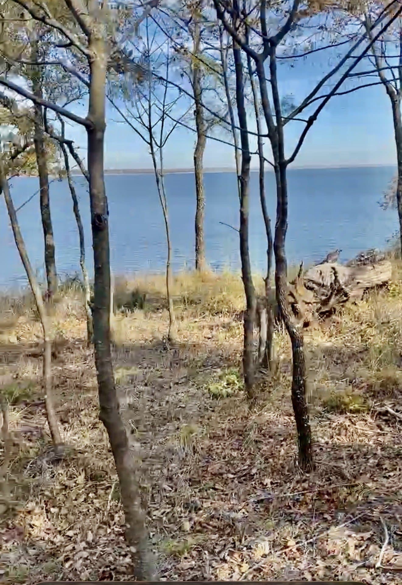0.39 acres in Grayson County - photo 11