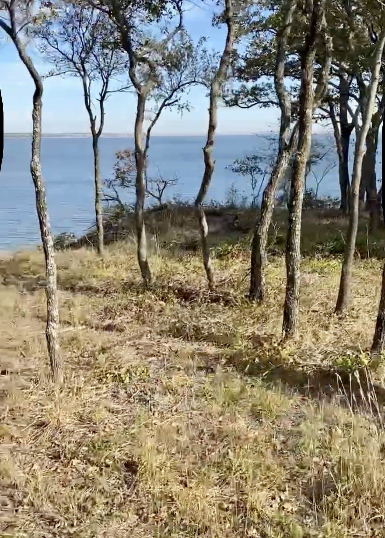 0.39 acres in Grayson County - photo 10