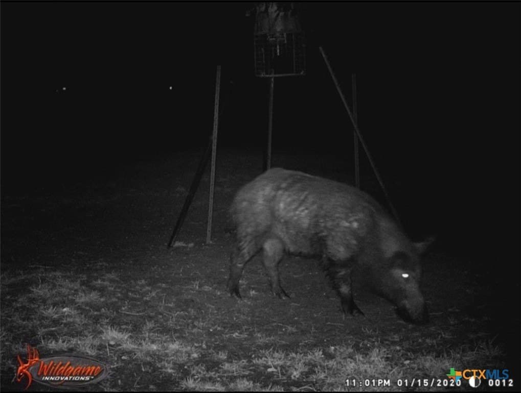44.97 acres in Gonzales County - photo 7